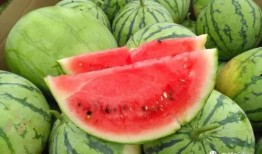 今日吃瓜官网,揭秘娱乐圈最新热点，带你畅游八卦海洋