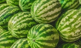 吃瓜视频每日大赛 吃瓜网官网,每日大赛精彩回顾，揭秘热门吃瓜瞬间